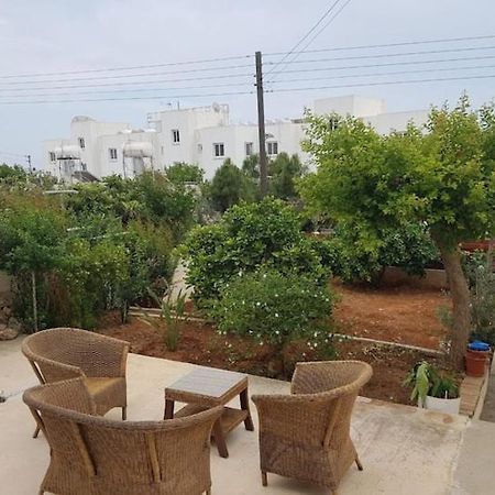 Epistimi 3 Bedroom Holiday House Agia Napa Exterior foto