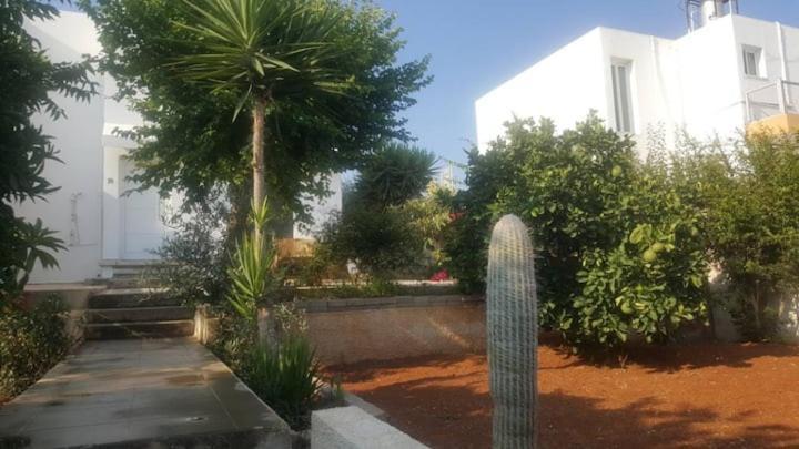 Epistimi 3 Bedroom Holiday House Agia Napa Exterior foto